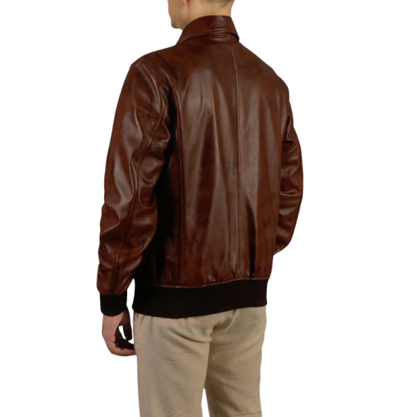 Mens Vintage Leather Jacket Back